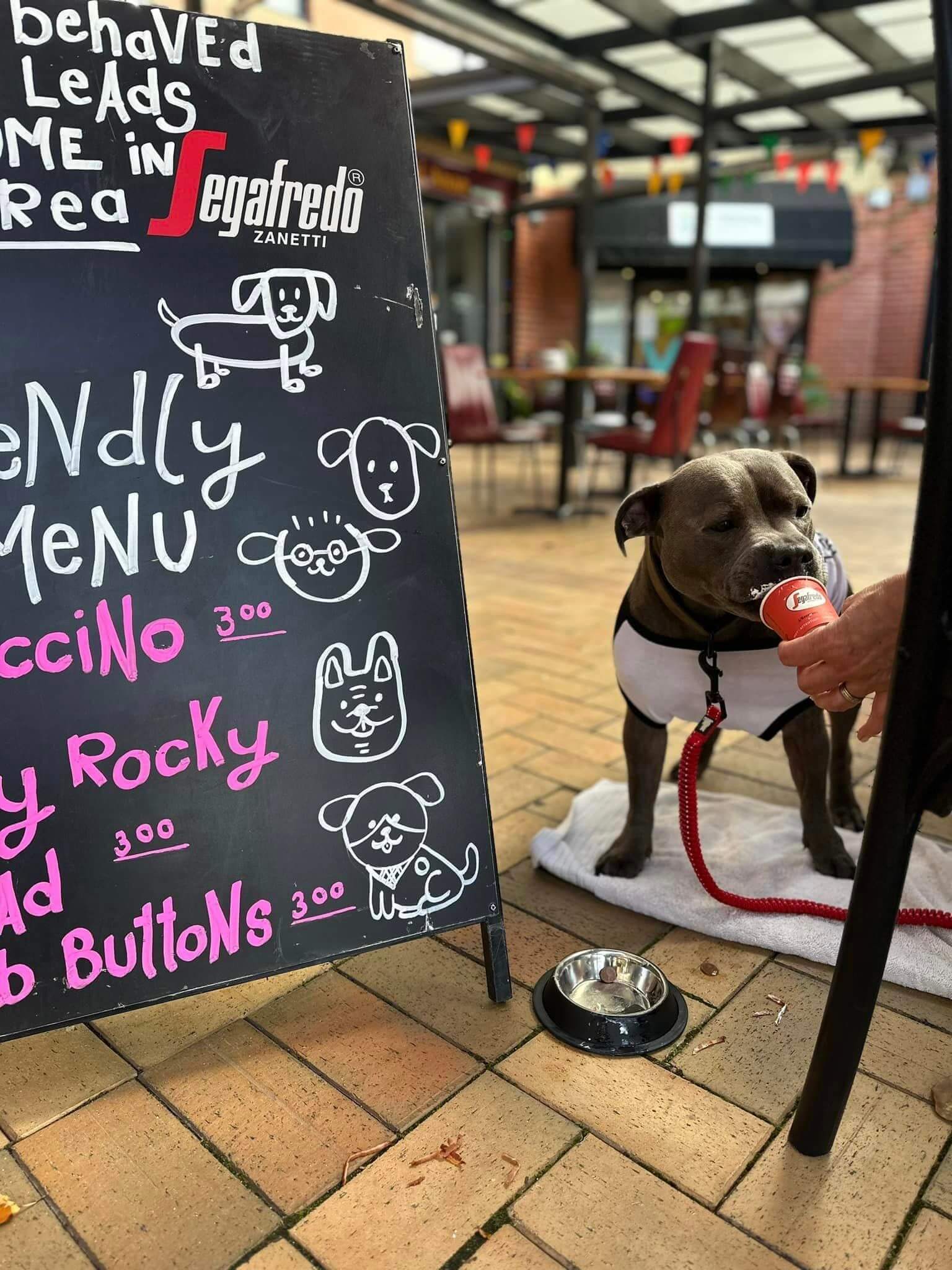 Caffe Cicchetti Cafes & Casual Dining Love Central Coast